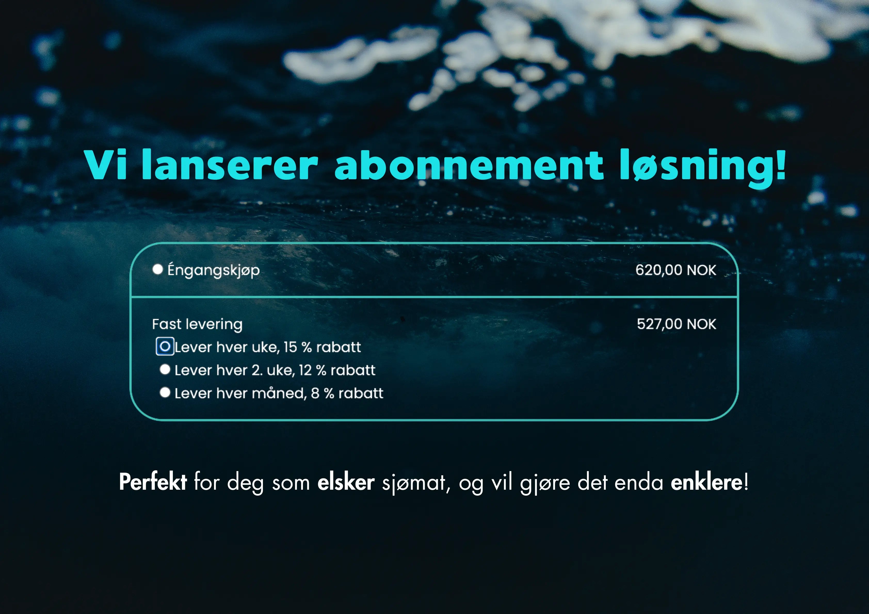 Abonnement på fersk sjømat – enkelt, fleksibelt og rimelig