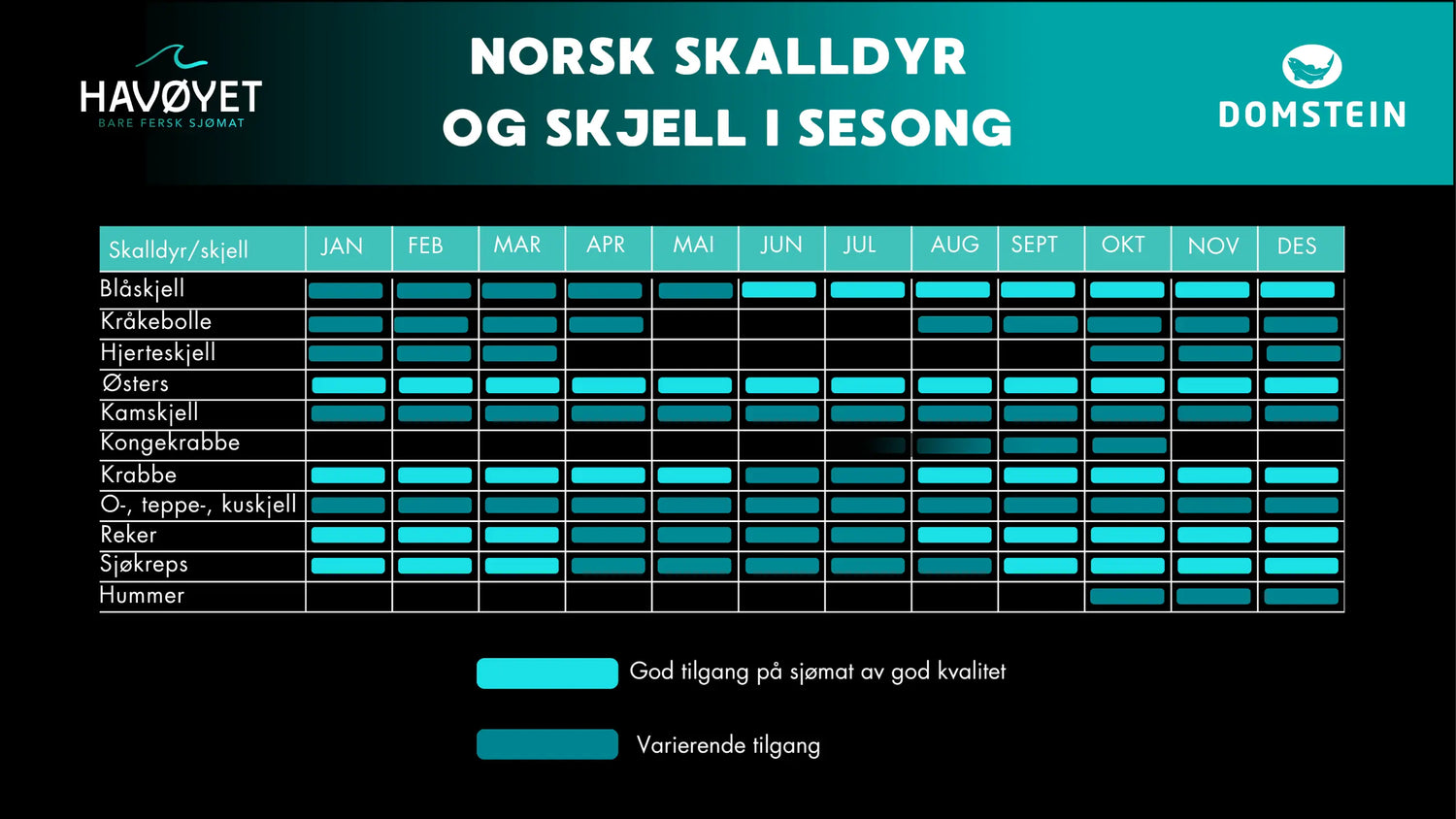 Se når skalldyr og skjell er i sesong!
