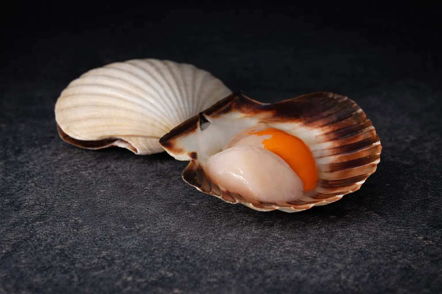 Ferske kamskjell fra Havøyet. Levert hjem på døren til alle i Bergen og omegn.