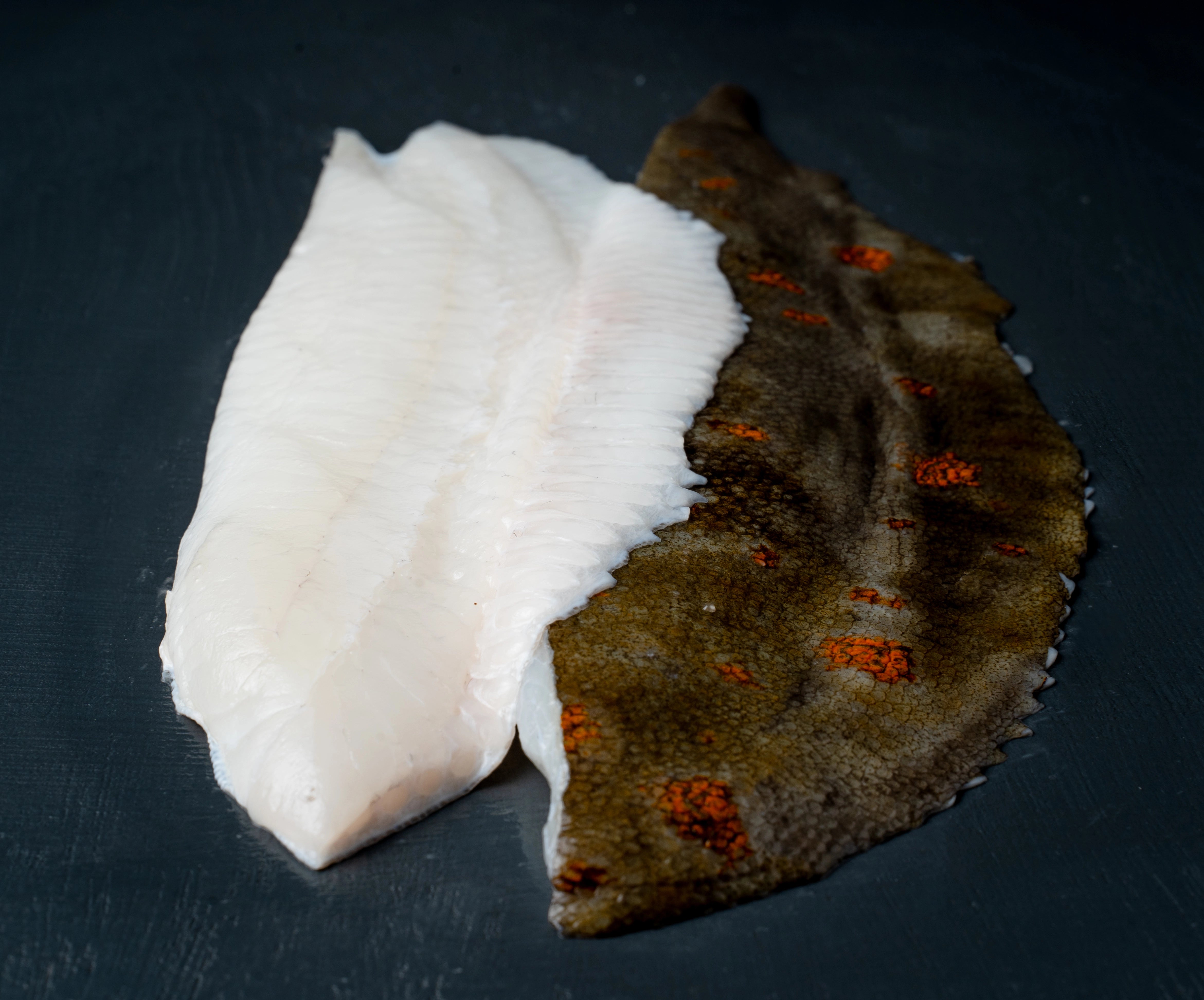 Rødspette filét
