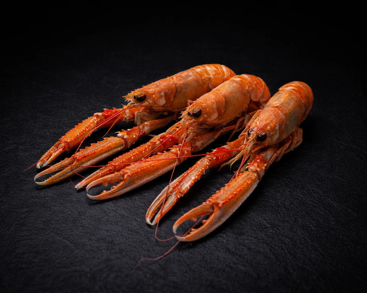 Ferske sjøkreps fra Havøyet. Levers hjem i Bergen og omegn. Store ferske sjøkreps.