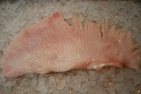 Skate filet