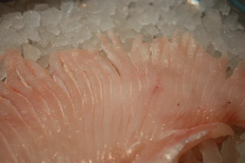 Skate filet