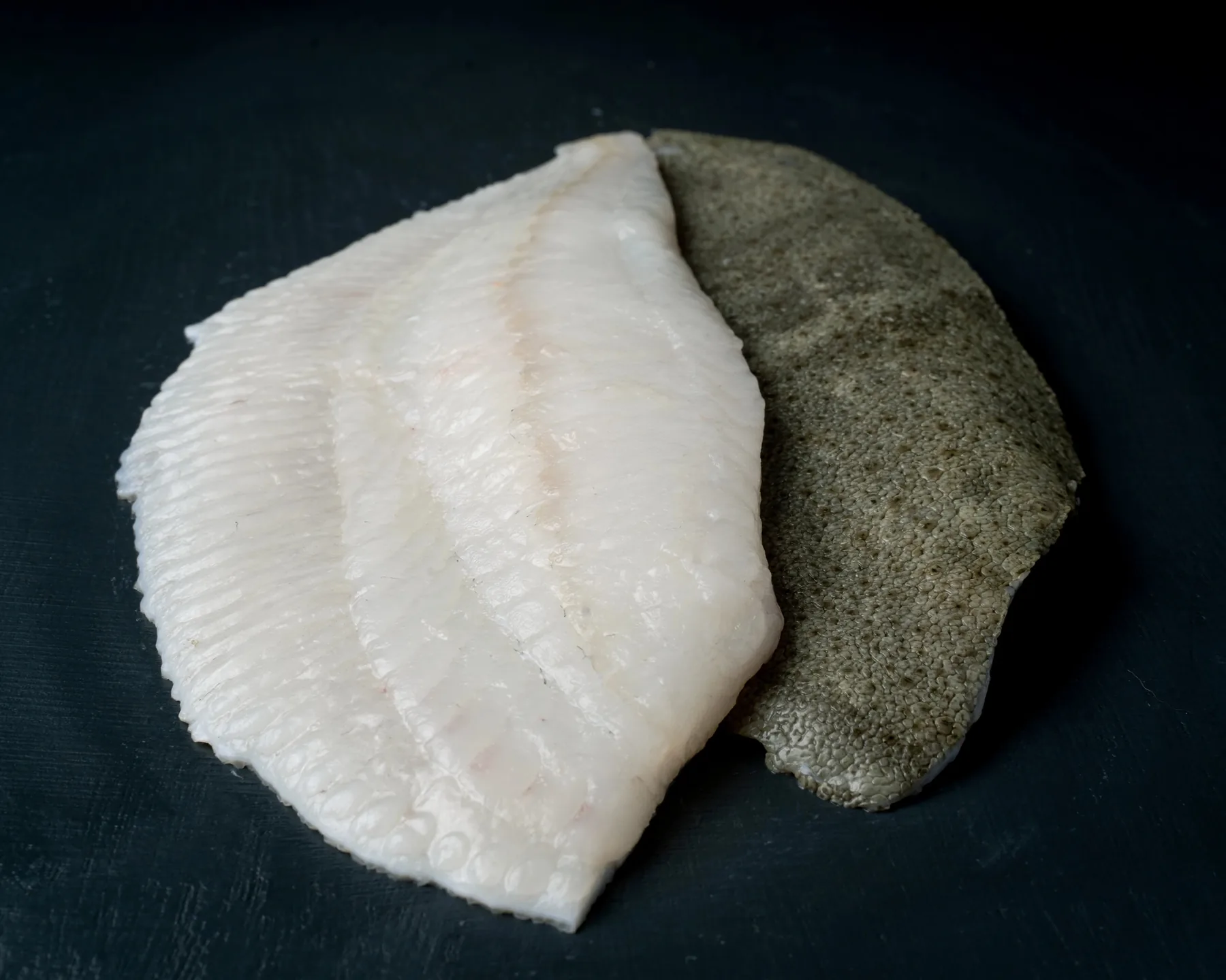 Fersk piggvar filet fra Havøyet, pakket på is