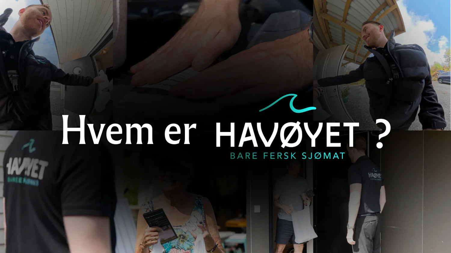 Hvem er Havøyet?