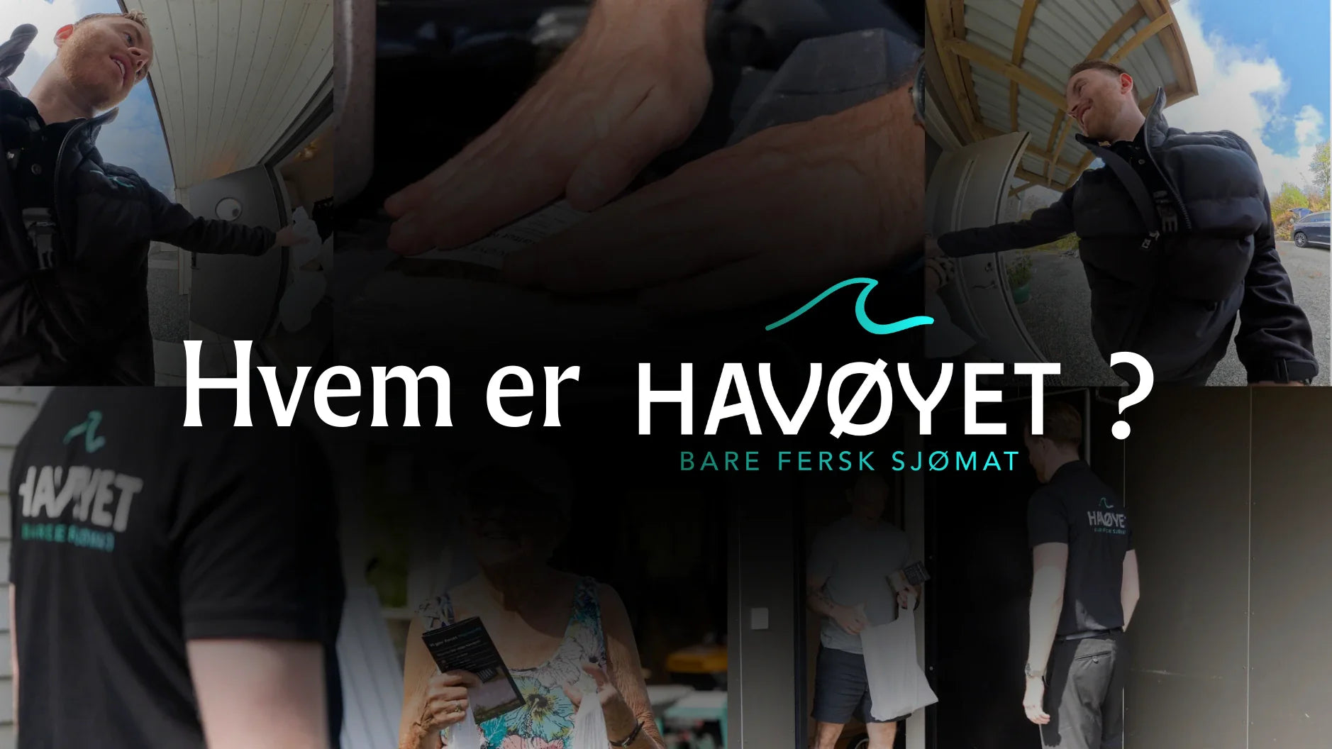 Hvem er Havøyet?