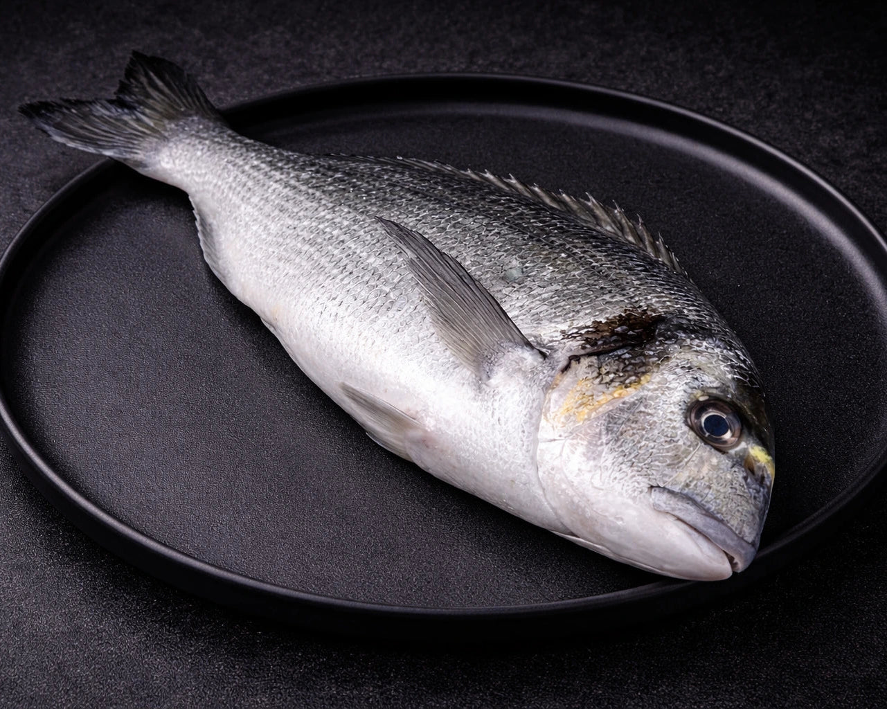 Fersk dorade fra Havøyet. Doraden leveres hel, og hjem helt fersk til alle i Bergen og omegn. 