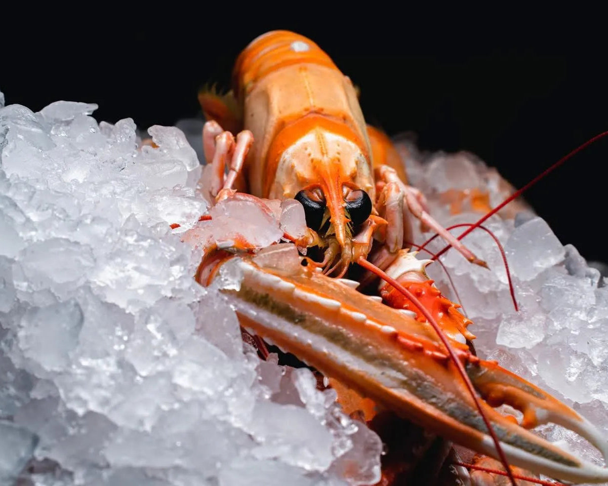 Fersk kokt sjøkreps fra Havøyet. Levert hjem til alle i Bergen. 