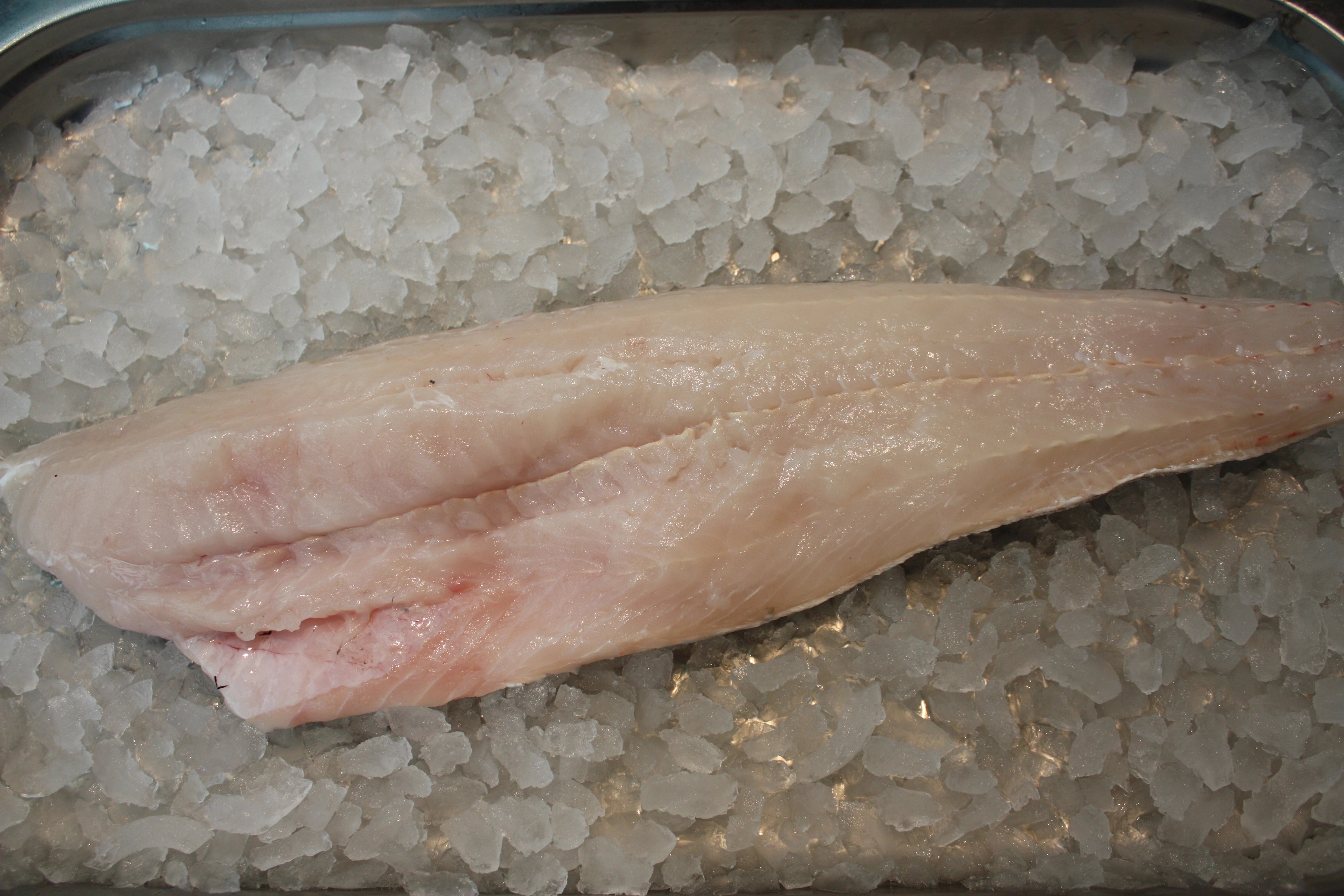 Lysing filet