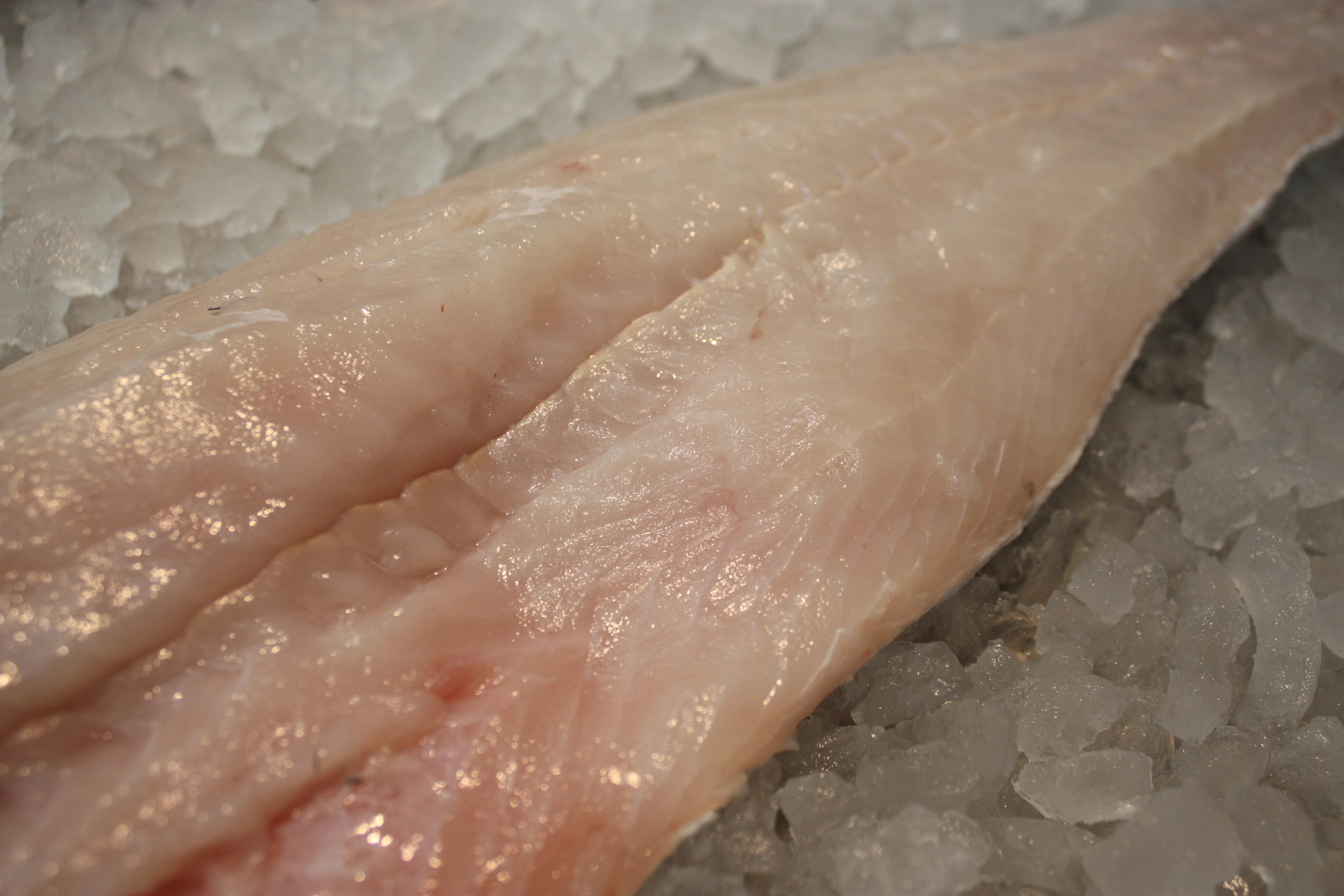 Lysing filet