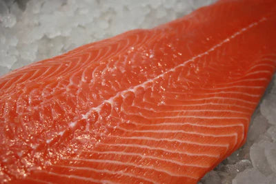 Ørret filet u/skinn