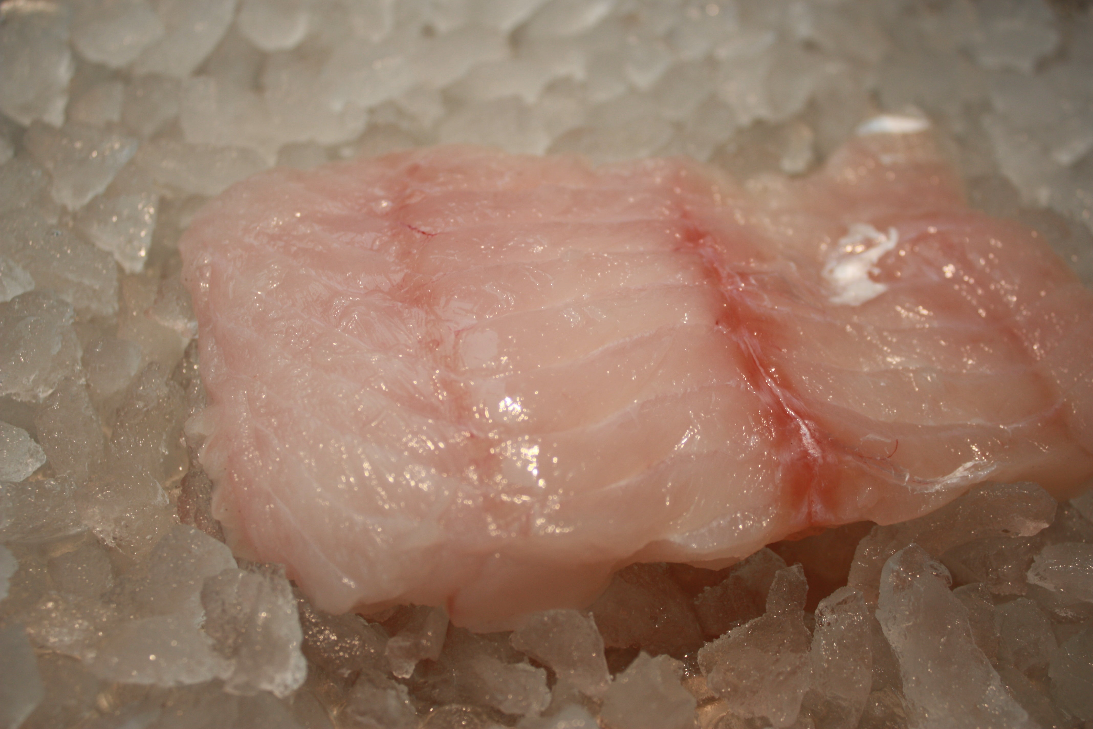 Brosme filet