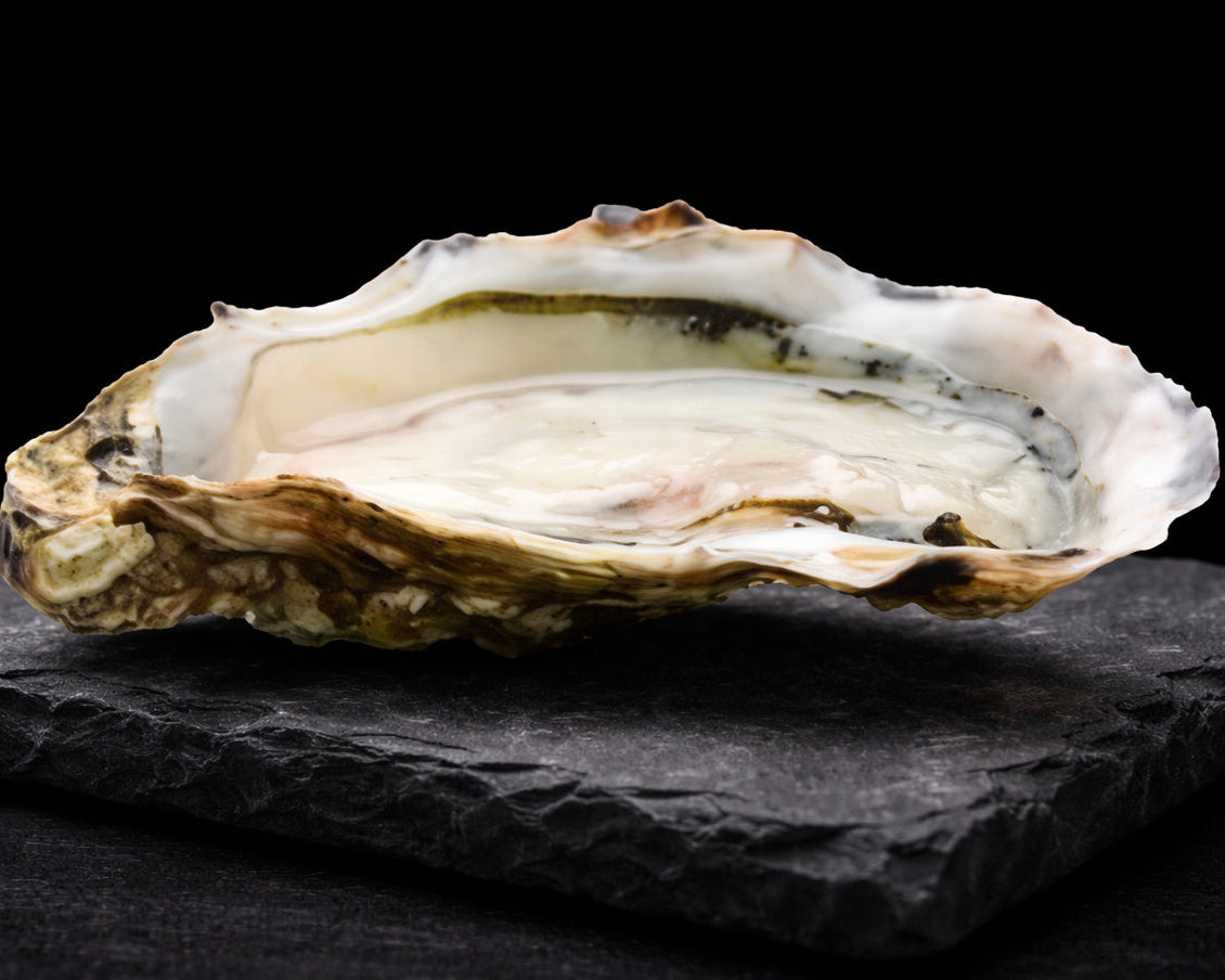 Fersk østers fra Havøyet. Leverer fersk østers helt hjem på døren til alle i Bergen og omegn. 